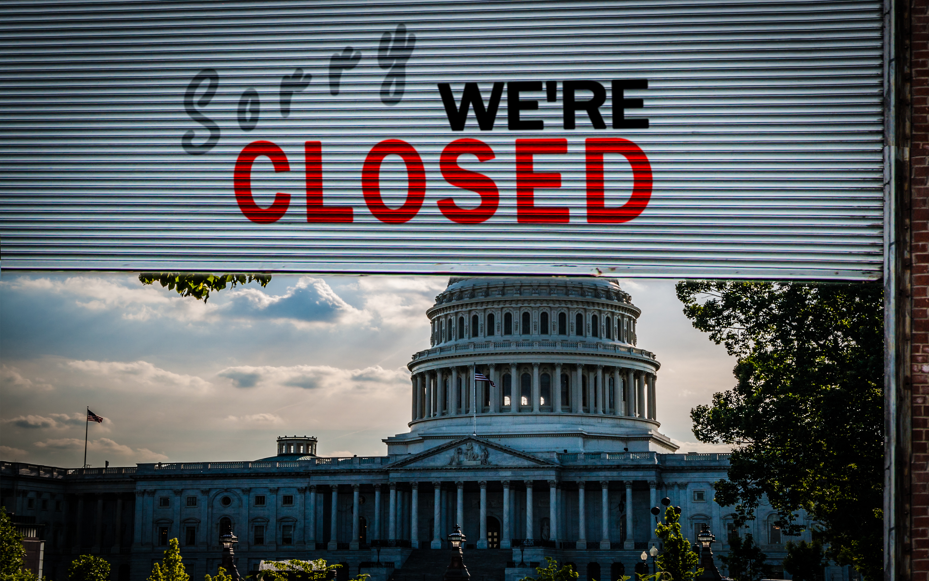 The Government Shutdown That Democrats Love